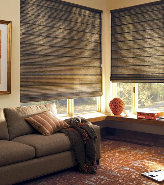 Alexa-compatible motorized roller shades in a Fort Lauderdale condo